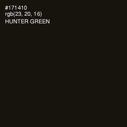 #171410 - Hunter Green Color Image